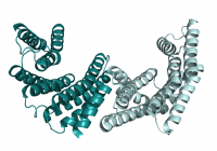 Laboratory of Structural Biology of Signaling Proteins