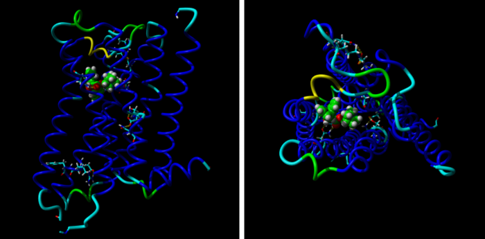 Our new paper: On homology modeling of the M2 muscarinic acetylcholine receptor subtype